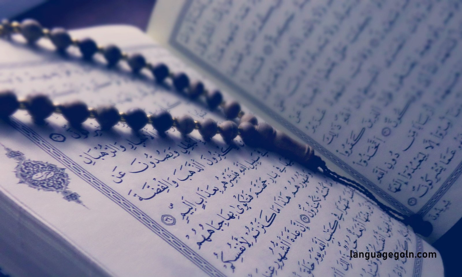 আরবি ভাষা ও সাহিত্যের শ্রেণিতে সকল শিক্ষার্থীর চাহিদা মেটানোর উপায়