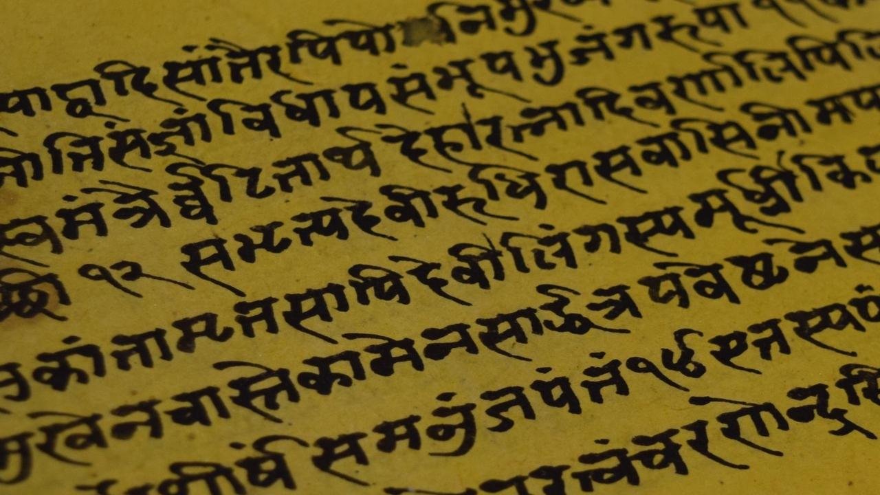 সিংহ শশক কথা