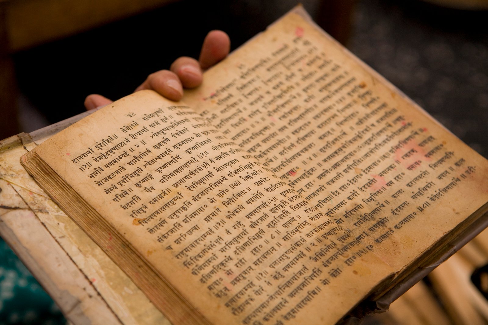 সংস্কৃত ণত্ব-ষত্ব-বিধানম