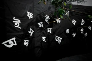 লিচের বিনম্রতার রীতি অনুসারে বাংলা ভাষায় লিখিত দাওয়াতপত্রের বিনম্রতার ফলাফল পর্যালোচনা