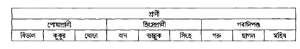 বাগার্থিক ক্ষেত্র