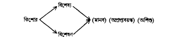 ব্যাখ্যামূলক বাগর্থবিদ্যা