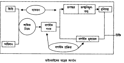 ভাইনরাইখের তত্ত্ব
