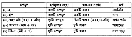 রূপতত্ত্ব ভূমিকা