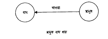 লীচের প্রস্তাবনা