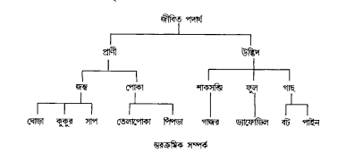 অর্থ সম্পর্কসমূহ