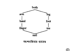 অর্থ সম্পর্কসমূহ