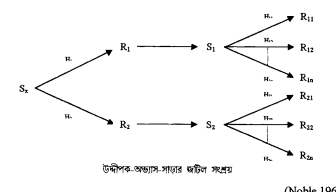 আচরণবাদী তত্ত্ব