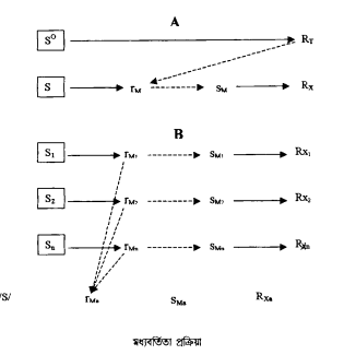 আচরণবাদী তত্ত্ব