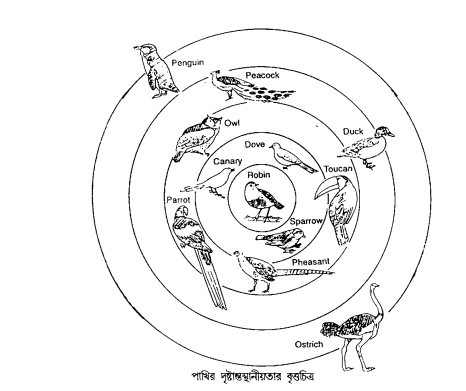 আদর্শরূপ তত্ত্ব