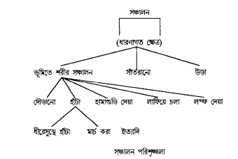পান্ডুলিপি তত্ত্ব 