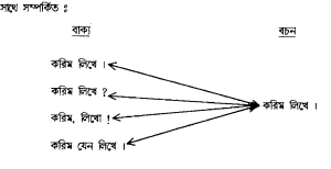 বাক্য, বচন ও উক্তি