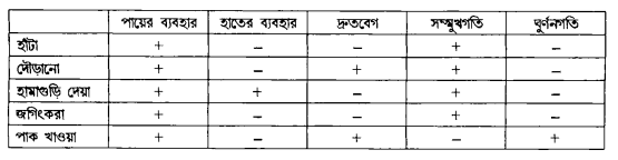 বাগর্থিক বৈশিষ্ট্য বিশ্লেষণ