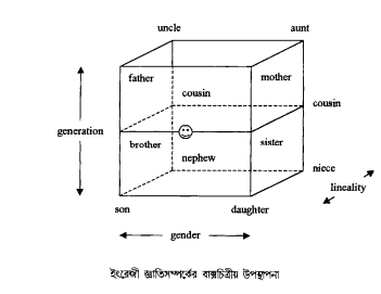 বাগার্থিক ক্ষেত্র