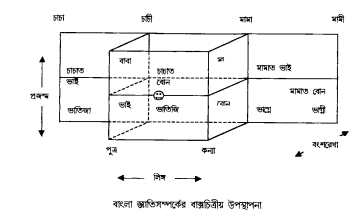 বাগার্থিক ক্ষেত্র