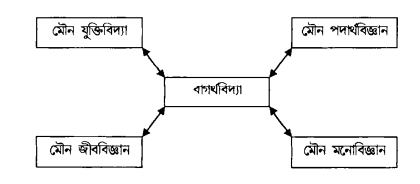 বাগৰ্থিক জ্ঞান তত্ত্ব