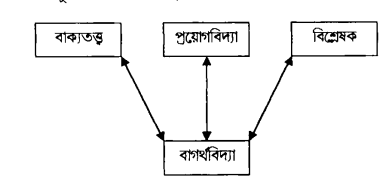 বাগৰ্থিক জ্ঞান তত্ত্ব