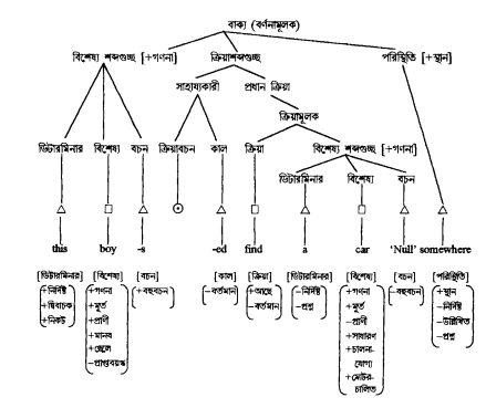 ভাইনরাইখের তত্ত্ব