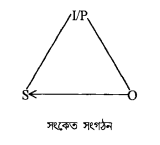 সংকেত সংগঠন তত্ত্ব