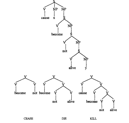 ম্যাকলের তত্ত্ব