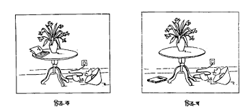 সত্য শর্ত