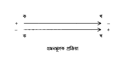 স্থানিকতা বাদ